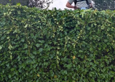 wilde spaces facebook gallery 17