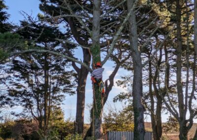 wilde spaces facebook gallery 19