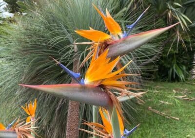 wilde spaces facebook gallery 2