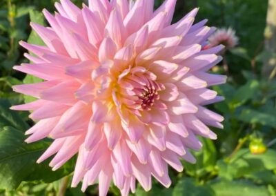 wilde spaces facebook gallery 20