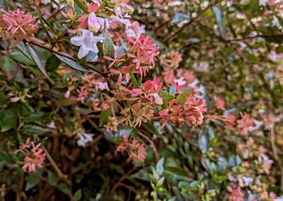 wilde spaces facebook gallery 22