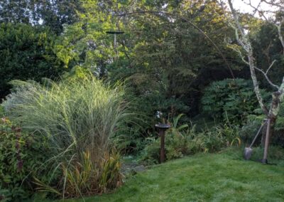 wilde spaces facebook gallery 26