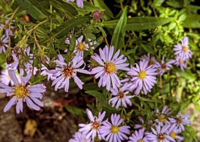 wilde spaces facebook gallery 27