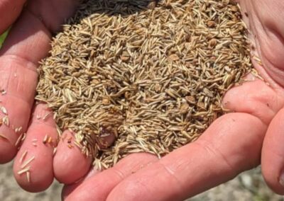 wilde spaces facebook gallery 28