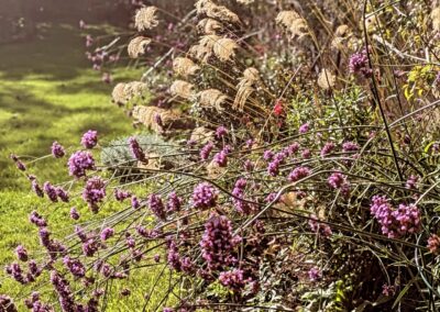 wilde spaces facebook gallery 29