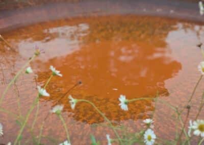 wilde spaces facebook gallery 33