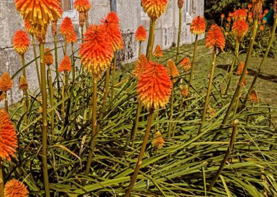 wilde spaces facebook gallery 34