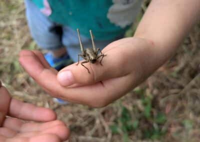 wilde spaces facebook gallery 36