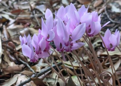 wilde spaces facebook gallery 37