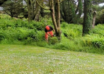 wilde spaces facebook gallery 38