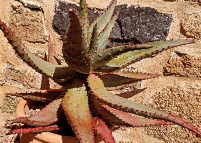 wilde spaces facebook gallery 39