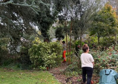 wilde spaces facebook gallery 4