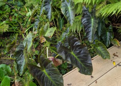 wilde spaces facebook gallery 40