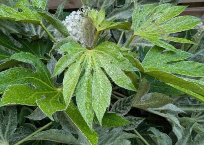 wilde spaces facebook gallery 41