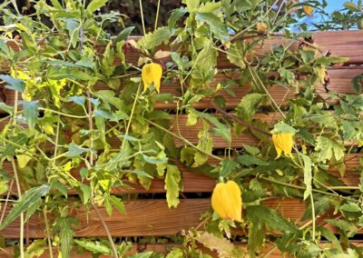 wilde spaces facebook gallery 52