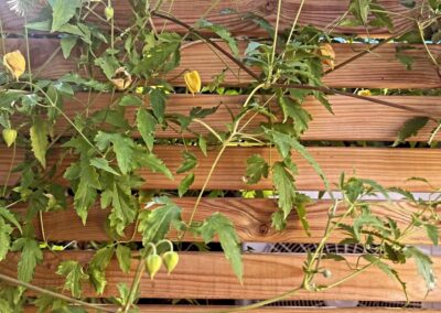 wilde spaces facebook gallery 53