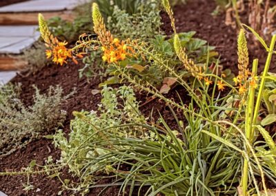 wilde spaces facebook gallery 57