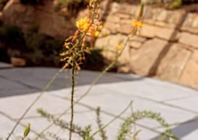 wilde spaces facebook gallery 59