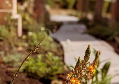 wilde spaces facebook gallery 60