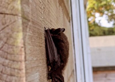 wilde spaces facebook gallery 63