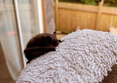 wilde spaces facebook gallery 64