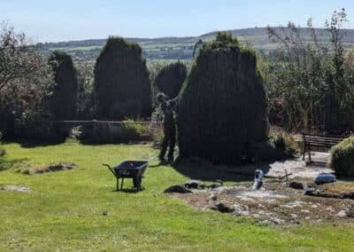 wilde spaces facebook gallery 7