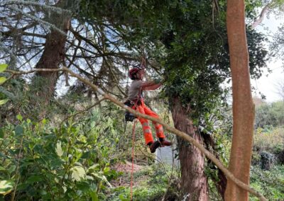 wilde spaces facebook gallery 8